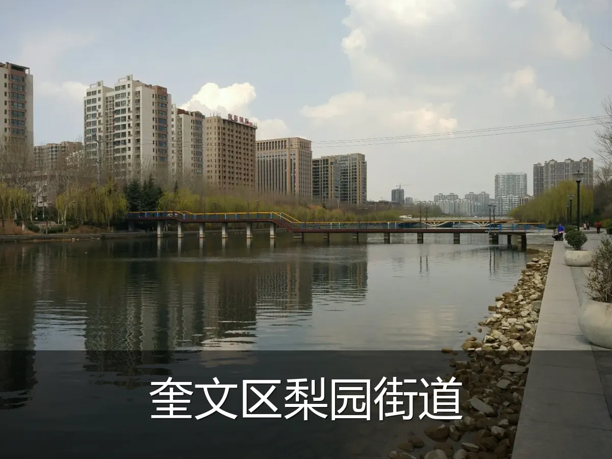 奎文区梨园街道